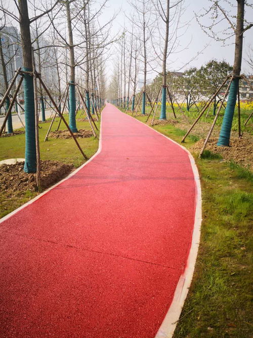 丹陽小區(qū)道路施工哪個好