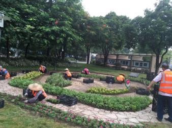 園林綠化 綠化工程 草坪種植養(yǎng)護(hù) 樹(shù)木修剪 花境種植 植物墻