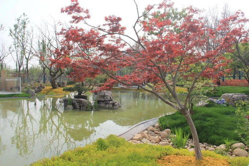 解讀園林綠化施工全過(guò)程,教你如何成為綠化行業(yè)大佬