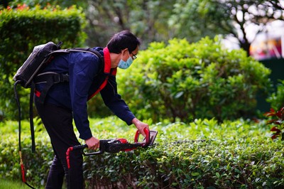 廣州綠化養(yǎng)護公司