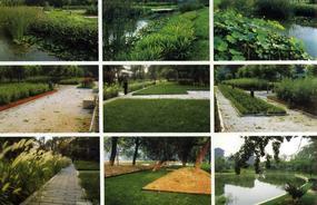 各種綠化、景觀鋪裝工程的設計與施工,園林綠化工程的養護;園林綠化苗木、草皮、花卉的種植,銷售(廣西南寧)_CO土木在線