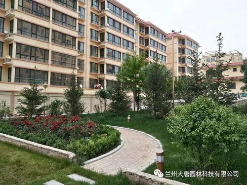 臨洮怡康苑住宅小區園林景觀綠化工程