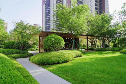 買房一陣子 住房一輩子 萬(wàn)科小區(qū)的 隱藏式服務(wù) 讓人太羨慕