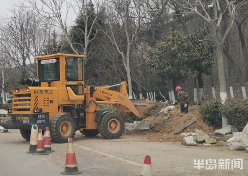 青島市區園林綠化工程有序復工，施工人員忙碌建設美麗家園