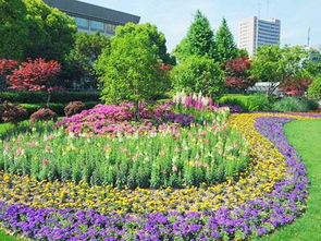 閑話(huà)園林綠化施工之三分種七分養(yǎng)